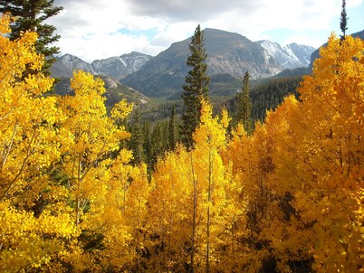 River Cabin - Close to Downtown, YMCA, and R.M.N.P.