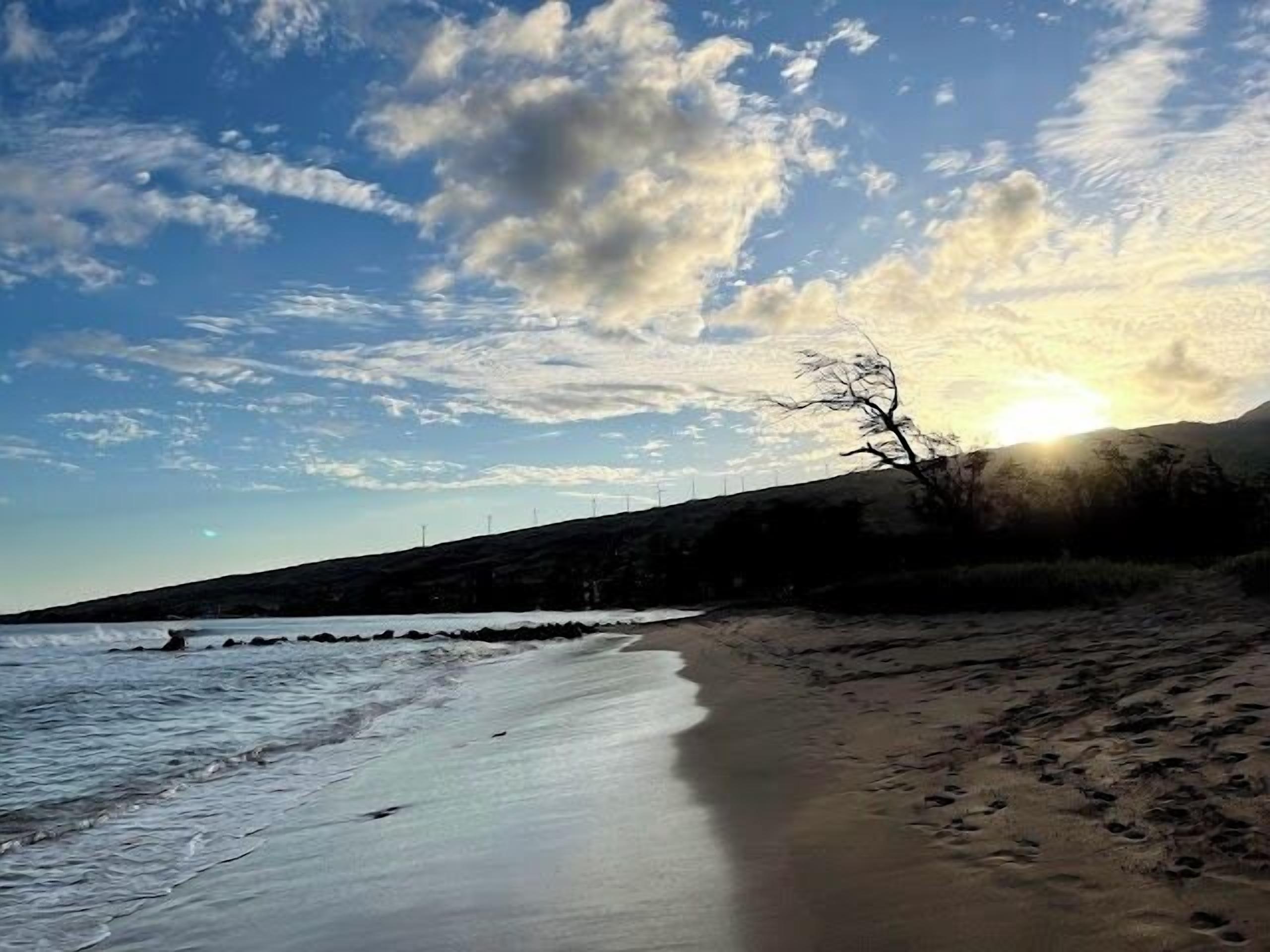 Una playa con cielo despejado, un atardecer y un paisaje árido.