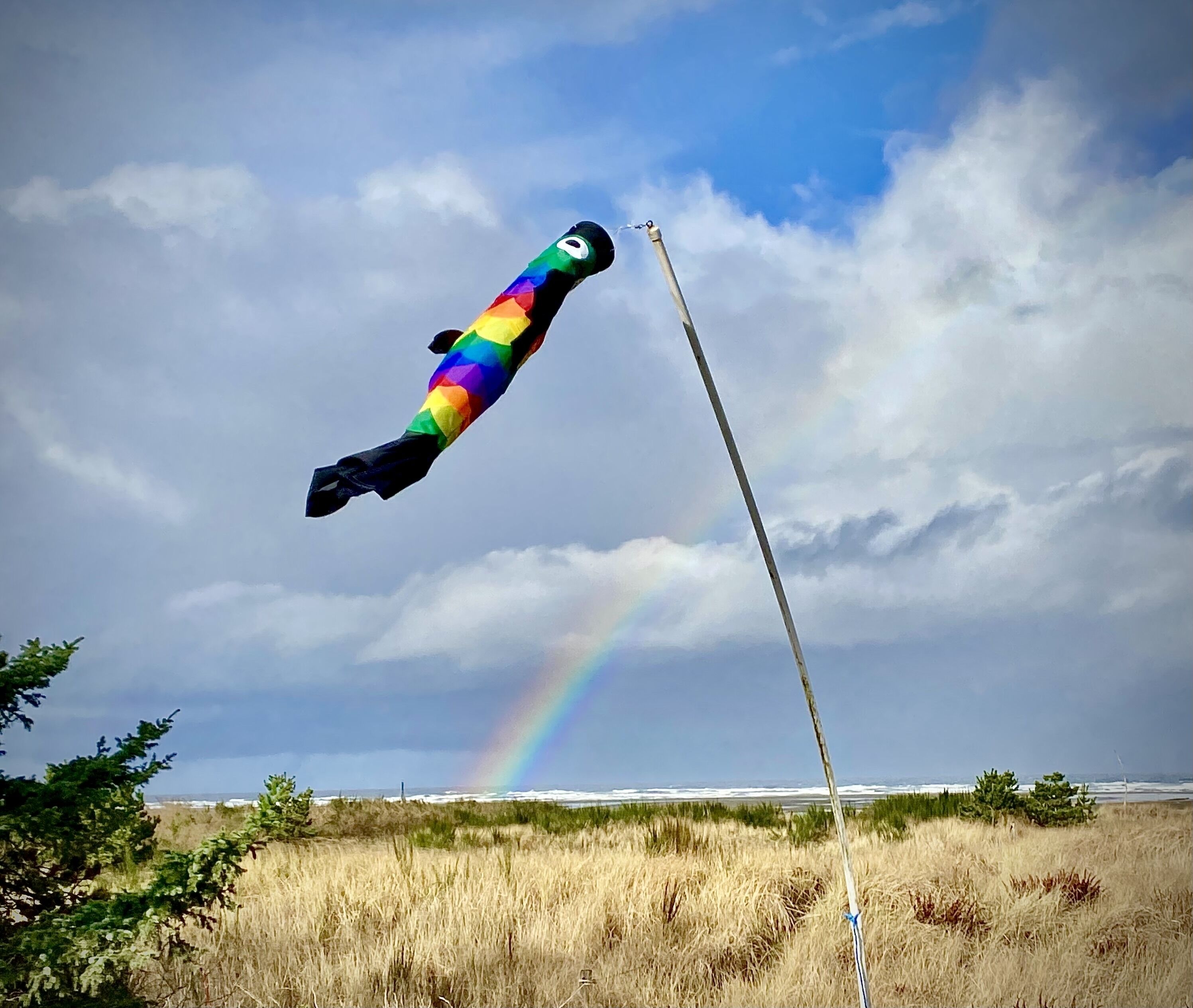 A rainbow-colored kite flying high in the sky.
