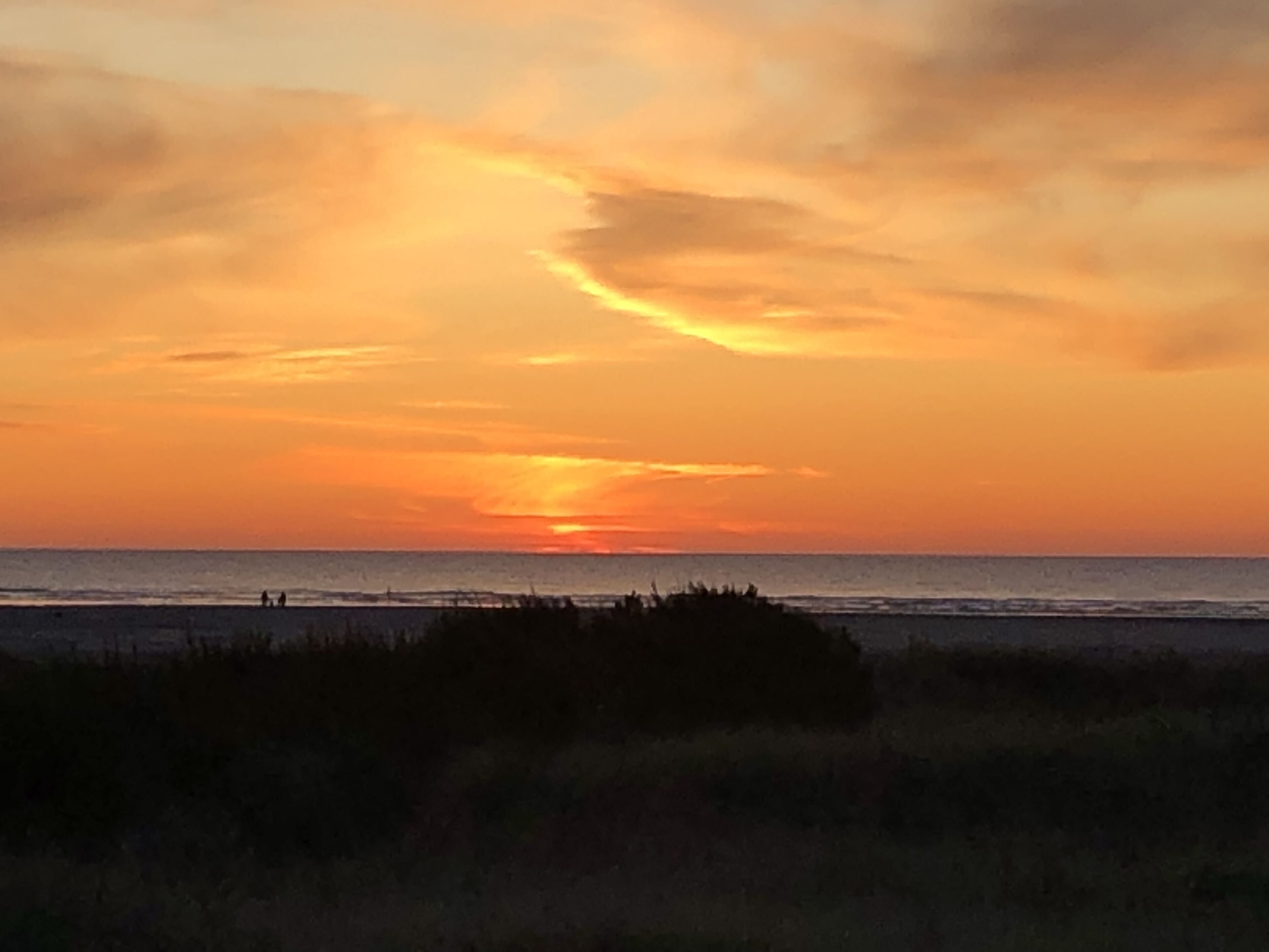 Ein Sonnenuntergang über dem Meer mit Silhouetten von Personen und Vegetation im Vordergrund.