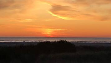 Ein Sonnenuntergang über dem Meer mit Silhouetten von Personen und Vegetation im Vordergrund.