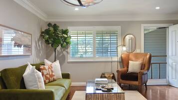 电视、壁炉、DVD 播放器