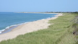 Une plage avec une zone herbeuse et une vue dégagée sur l’océan.