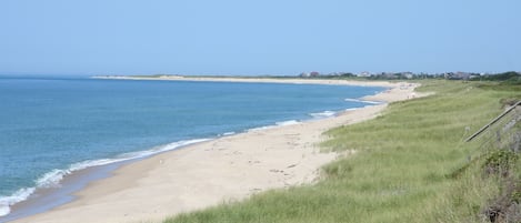 On the beach