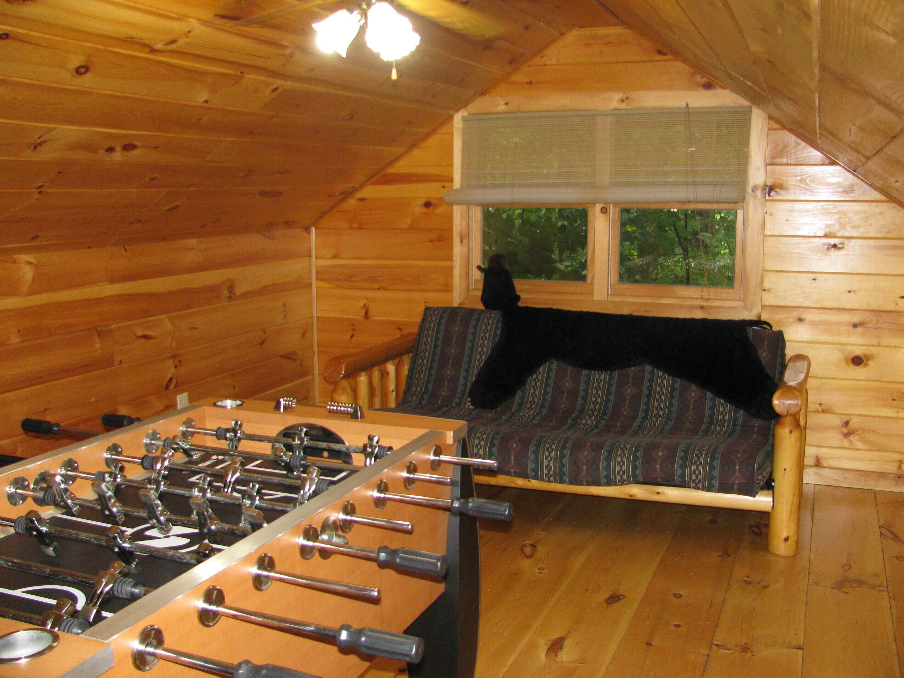 Secluded Cabin Right on the Ellijay River minutes from Ellijay or Blue Ridge