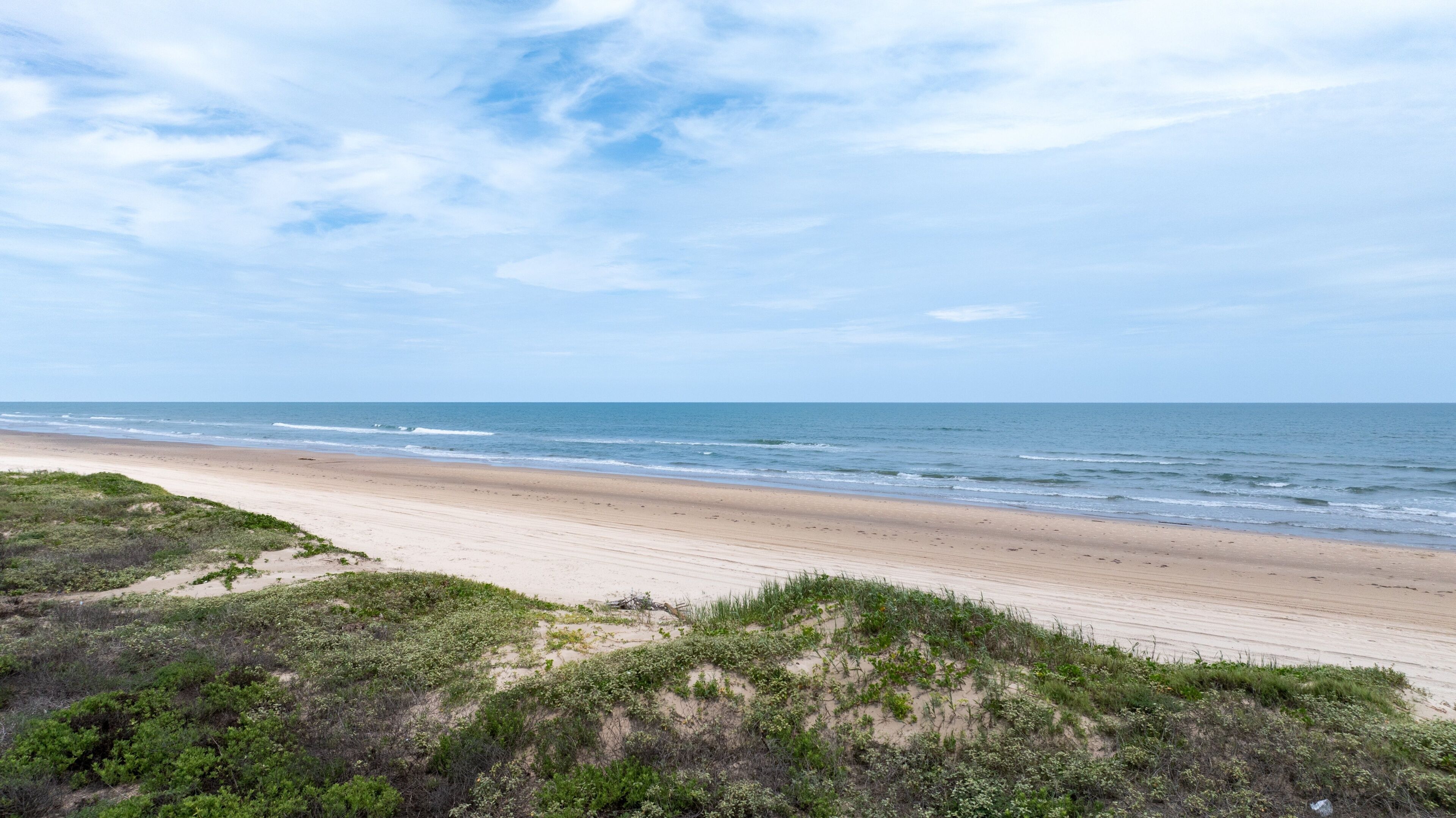 Ein Strand mit sandigem Ufer und Vegetation im Vordergrund.