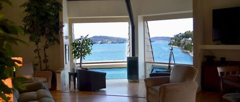 Televisión de pantalla plana, chimenea, reproductor de DVD