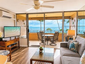 Flat-screen TV, DVD player, books