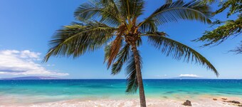 PURELY*BEAUTIFUL OCEANVIEW*FULLY RENOVATED