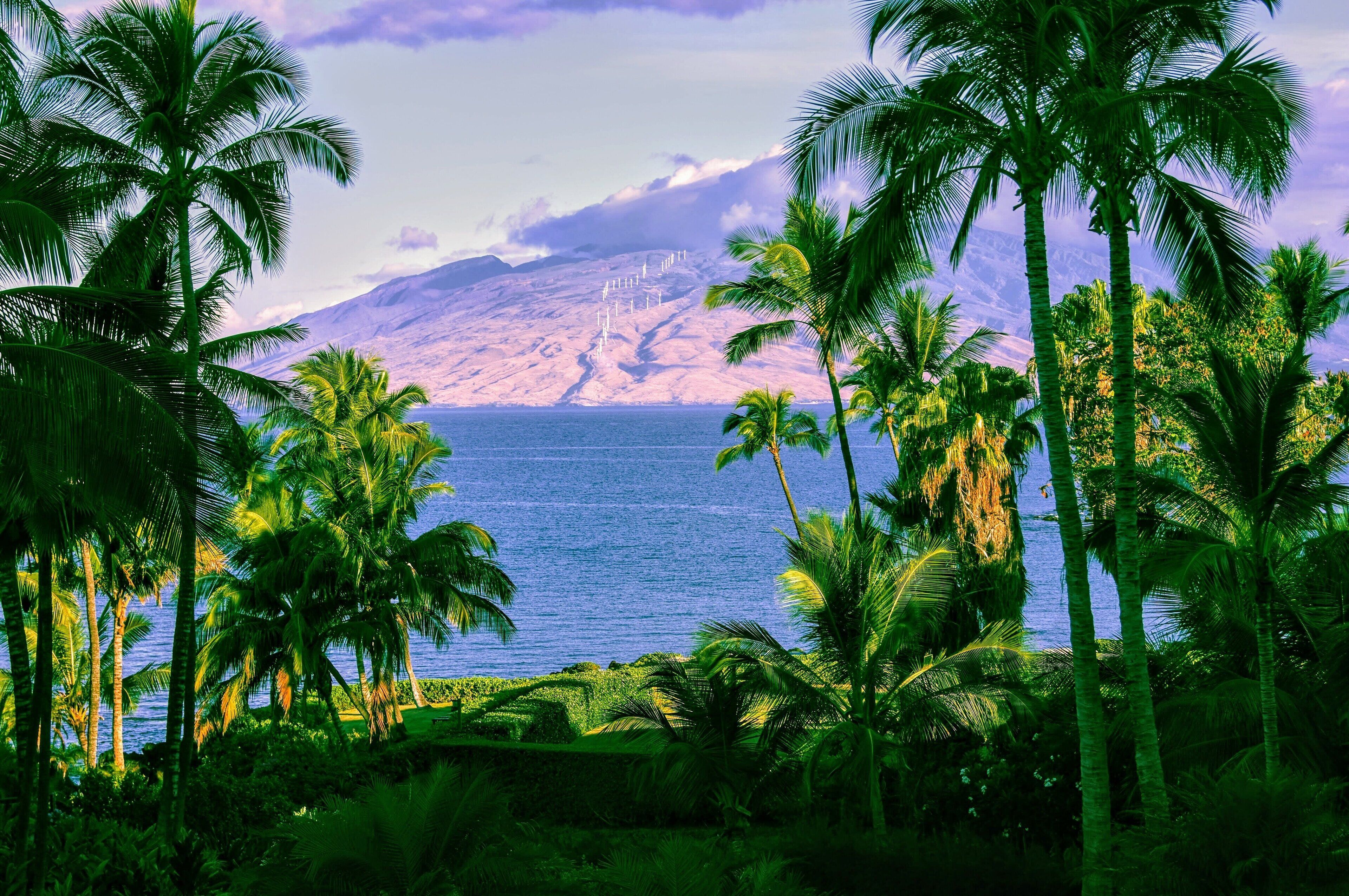 Maui inspiration image Kihei