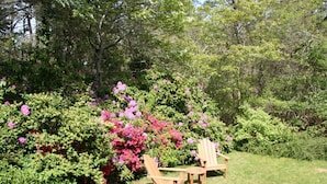 A garden with two wooden Adirondack chairs and a small table.