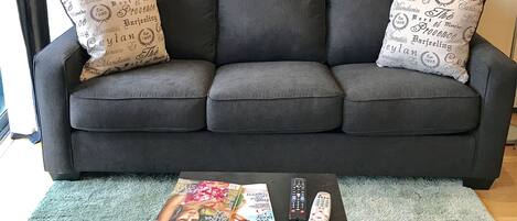 Smart TV, DVD player, books, video library