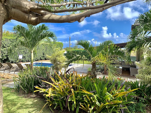 A pool area with lounge chairs, a palm tree, and various plants.