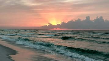 Camastros y toallas de playa