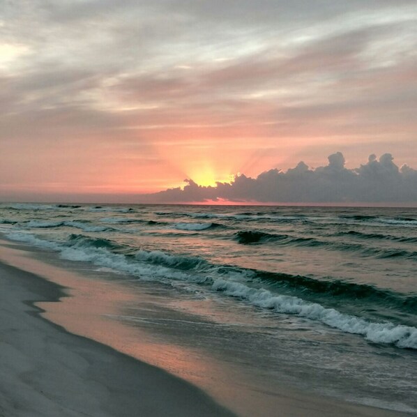 Sun-loungers, beach towels - Downtown Charmer Near Downtown 15 Mins to Pensacola Beach! (Pensacola)