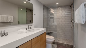 Shower, hair dryer, towels
