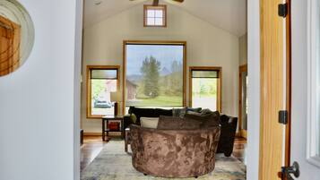 TV connectée, cheminée, lecteur de DVD, livres