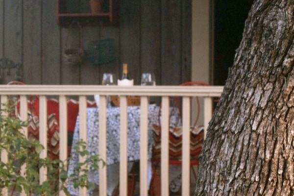 A view of the back porch through the trees.