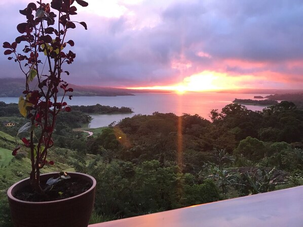View from property