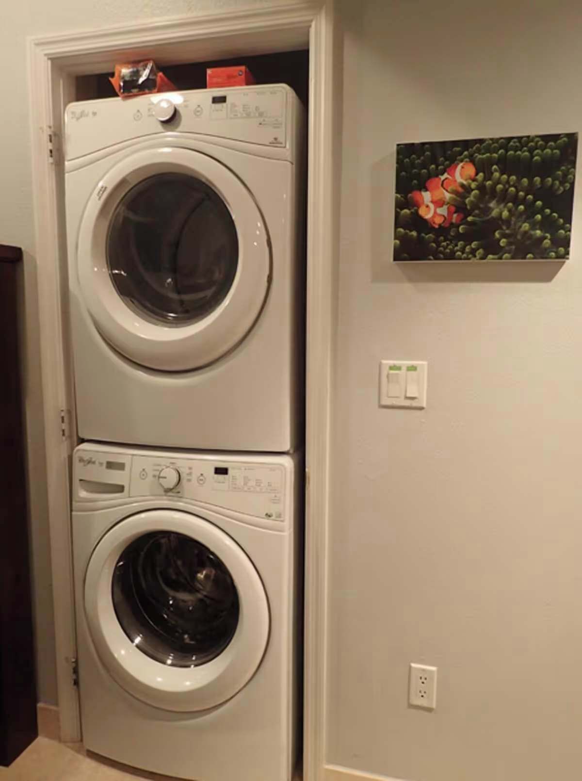 A stacked washer and dryer unit in a room with a wall-mounted painting of fish.