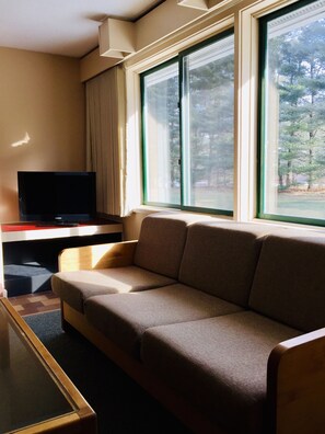 Télévision, cheminée, jeux vidéo, lecteur de DVD