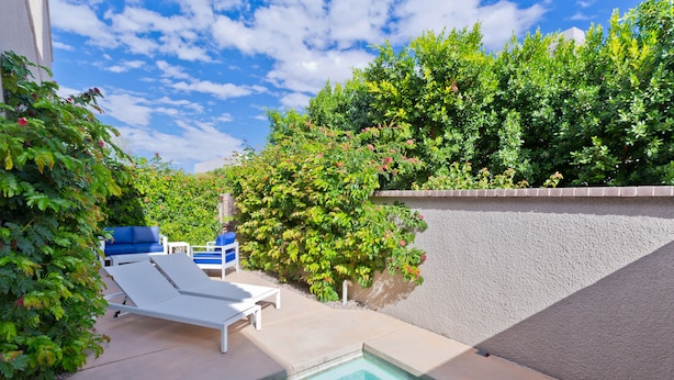 A swimming pool with lounge chairs, surrounded by lush greenery and a stone wall. - Designer Townhouse in the heart of Palm Springs, Convention Center. CITY ID#3867 (Palm Springs)