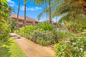 Parco della struttura