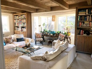 Smart TV, caminetto, tavolo da ping pong, libri