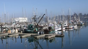 Un port de plaisance où de nombreux bateaux sont amarrés à des quais en bois.