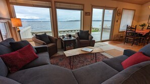 Smart TV, fireplace, books