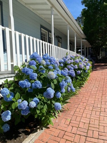 Farmhouse w Hot Tub, charming gardens, serenity, walk to Main Street! EV Charger