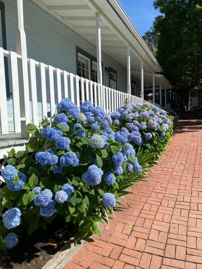 Farmhouse w Hot Tub, charming gardens, serenity, walk to Main Street! EV Charger