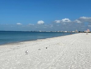 Plage, chaises longues, serviettes de plage