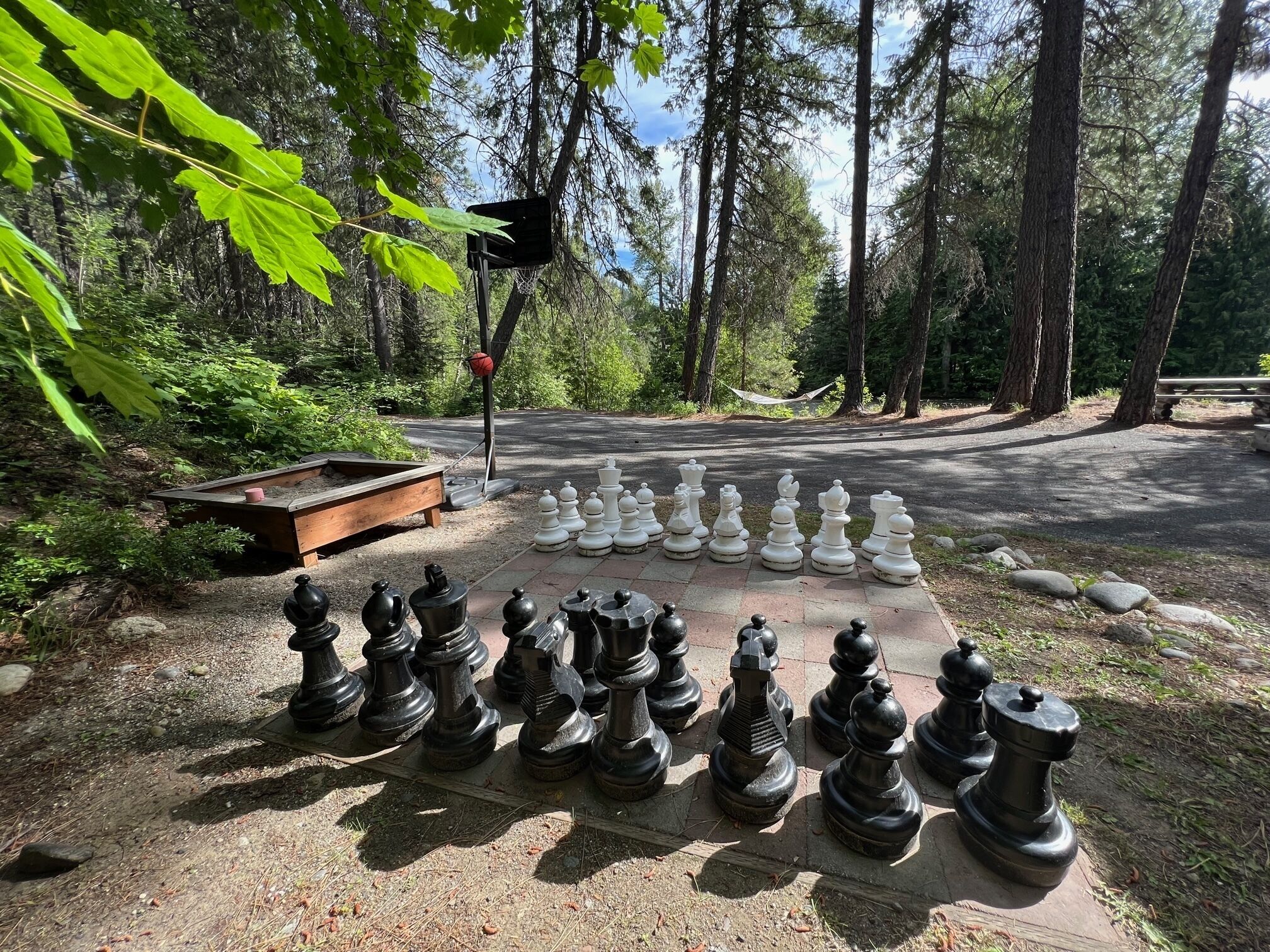 A chessboard set outdoors with trees in the background.