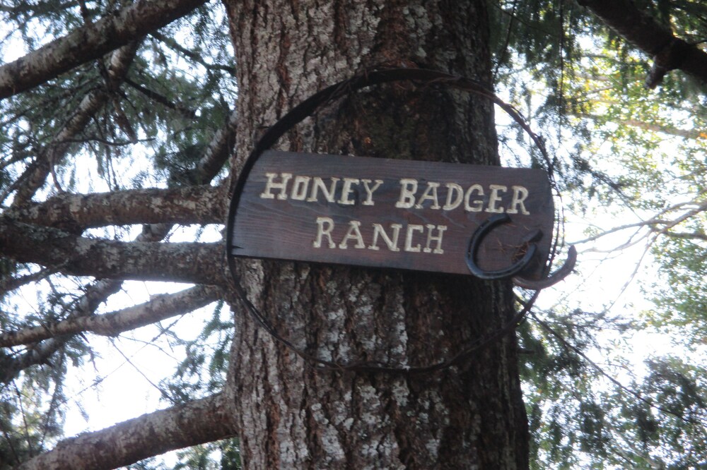 Quiet remodeled 1 bedroom cabin located on the South Fork of the Coquille River