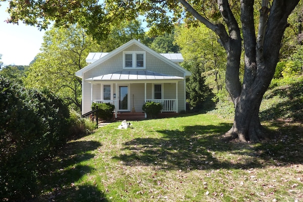 The front yard.