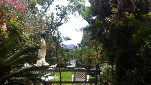 Un jardin avec une clôture en bois, des plantes en pot et du mobilier d’extérieur.