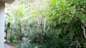 Un jardin luxuriant, avec un feuillage dense et une grande variété d’arbres.