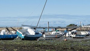 Várias embarcações atracadas em cais, com vista para a água e montanhas ao longe.