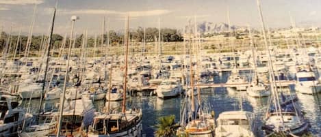 Marina