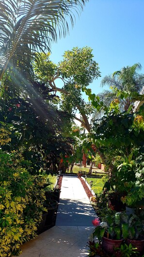 Stroll through the beautifully maintained garden, lined with lush greenery and vibrant flowers.