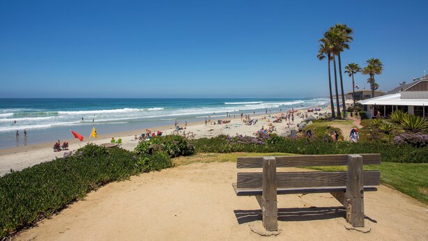 A beach with a wooden bench, palm trees, and a clear blue sky. - Across the street from the beach in Del Mar!  1757 Coast Blvd (Del Mar)