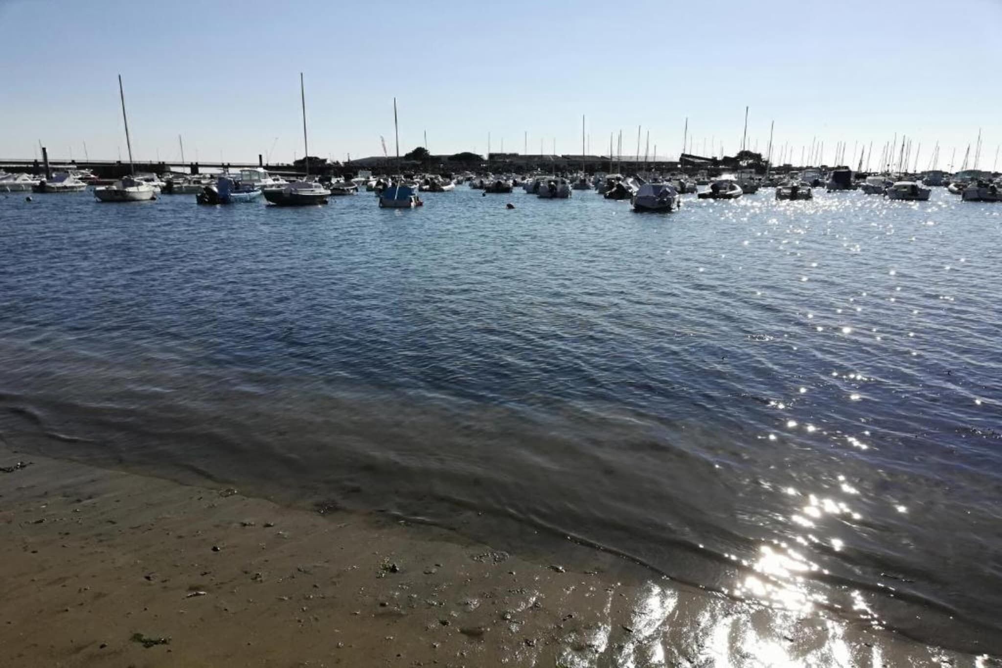 A marina with multiple boats docked in calm waters.