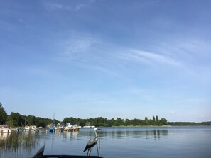 Lago