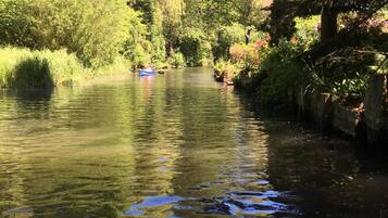 A calm river with a boat in the distance, surrounded by lush greenery and trees.