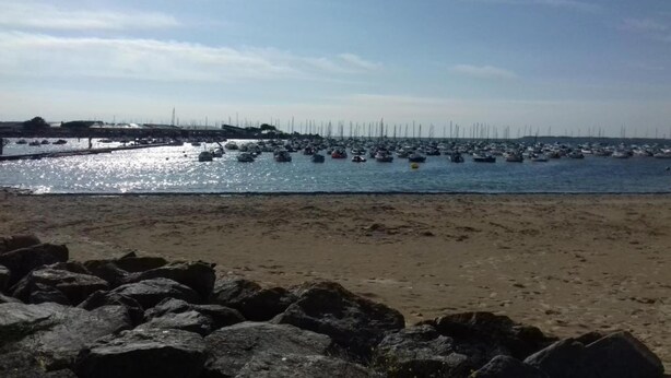 En strand med en stenig förgrund och en småbåtshamn i bakgrunden.