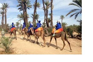 Fitness facility - Riad Marhaba Pool / WIFI (Marrakech)
