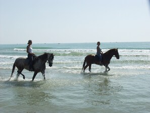 Plage à proximité