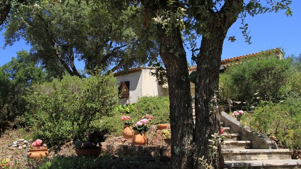 Une maison de campagne entourée d’une végétation luxuriante et agrémentée de plantes en pot.