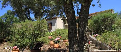 Overnattingsstedets uteområder